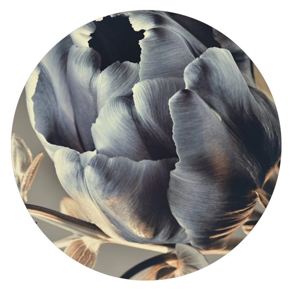 Интерьерный постер BAROQUE 3 