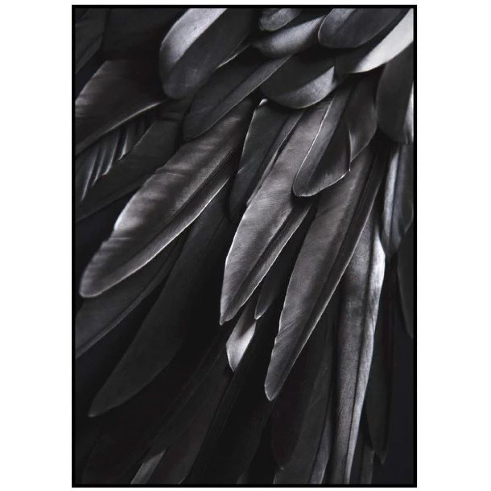 Картина BLACK WING