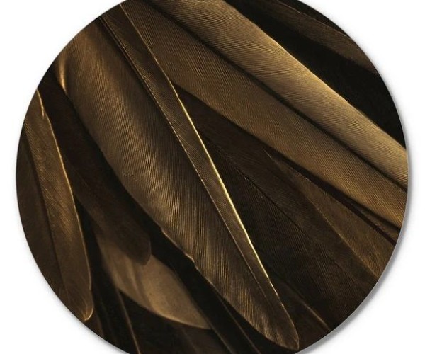 Интерьерный постер GOLD WING 