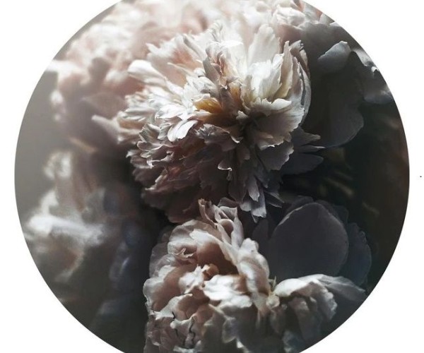 Интерьерный постер BAROQUE 1